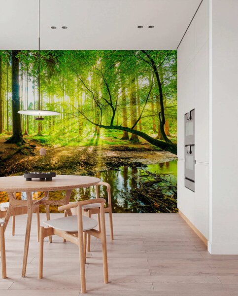 Fototapety Przejrzystość leśnego potoku, Fototapety Natura, u93621 : Uwalls.pl
