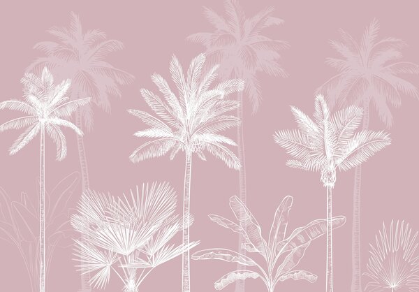 Fototapeta Grupa palm, Fototapety Natura, Popularne Fototapety, w03831v2 - Tapeko.pl