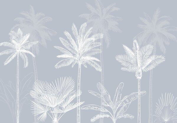 Fototapeta Grupa palm, Fototapety Natura, Popularne Fototapety, w03831v1 - Tapeko.pl