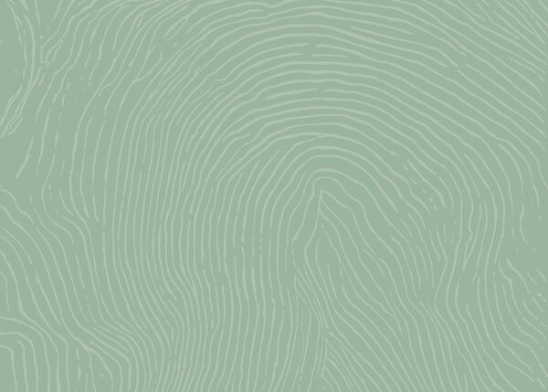 Fototapeta Zielono-biały wzór, Fototapety Abstrakcja, Popularne Fototapety, t00876v2 - Tapeko.pl