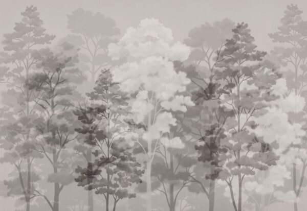 Fototapeta Grupa drzew w otoczeniu mgły, Fototapety Natura, Popularne Fototapety, t00860 - Tapeko.pl