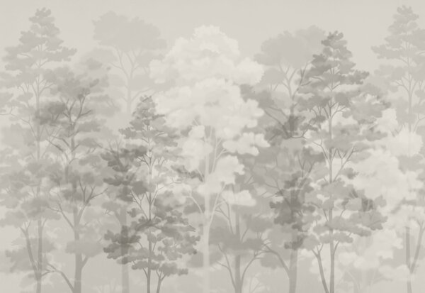 Fototapeta Grupa drzew w zamglonym lesie, Fototapety Natura, Popularne Fototapety, t00860v1 - Tapeko.pl