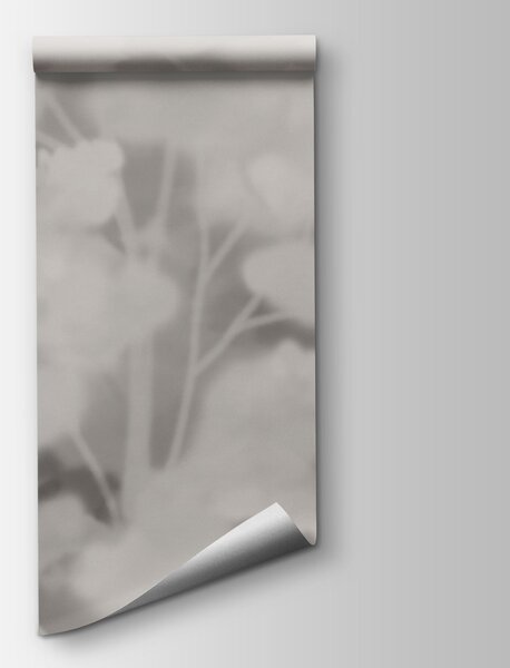 Fototapeta Grupa drzew w otoczeniu mgły, Fototapety Natura, Popularne Fototapety, t00860 - Tapeko.pl