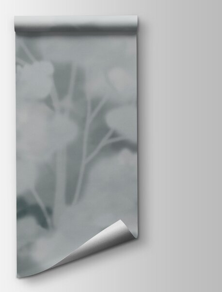 Fototapeta Grupa drzew w otoczeniu mgły, Fototapety Natura, Popularne Fototapety, t00860v3 - Tapeko.pl