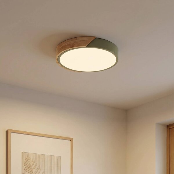 Lampa sufitowa Lynorri PRIOS, zielony, salon / jadalnia, tworzywo sztuczne, nowoczesny