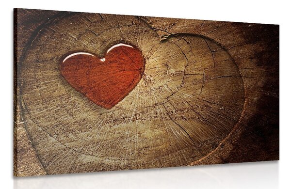 Obraz serce na pniaku