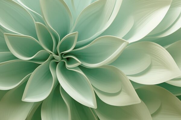 Fototapety Geometria botaniczna, Fototapety Geometryczne, w05559 : Uwalls.pl