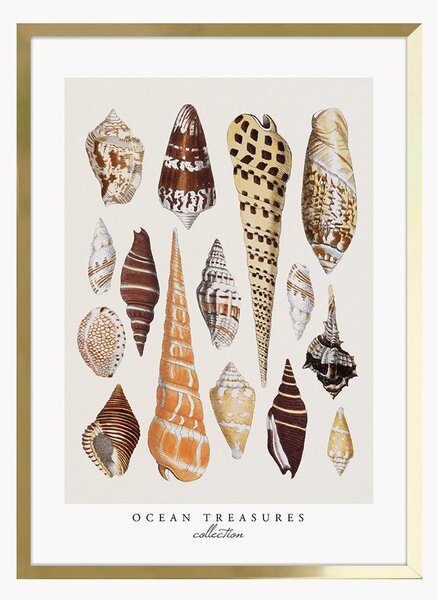 Oprawiony druk cyfrowy Ocean Treasures