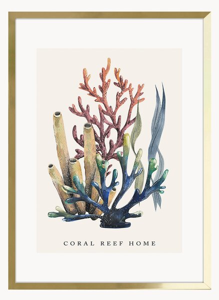Oprawiony druk cyfrowy Coral Reef Home