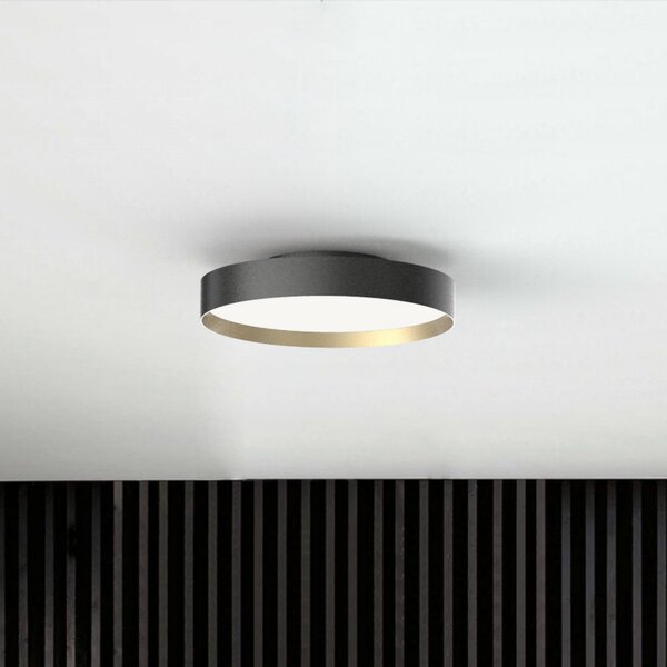 Lampa Sufitowa LOOM DESIGN, Lucia, ściemnialny, czarny, salon, metal, nowoczesny