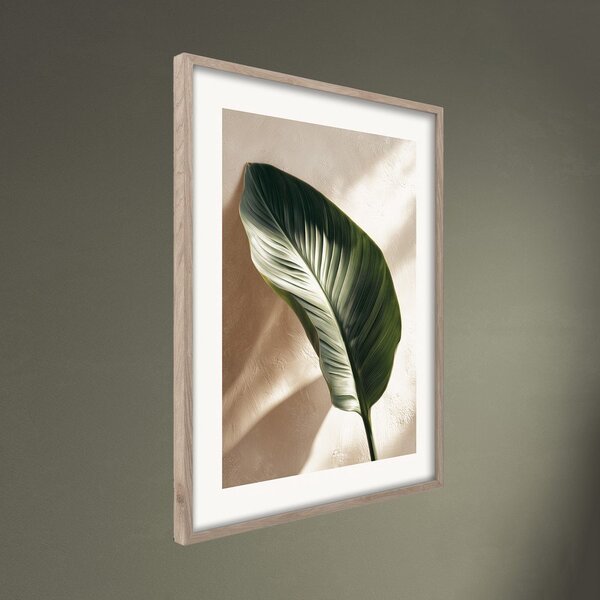 Obraz drukowany z ramą w zestawie 50x70 cm Strelizia Leaf – Styler