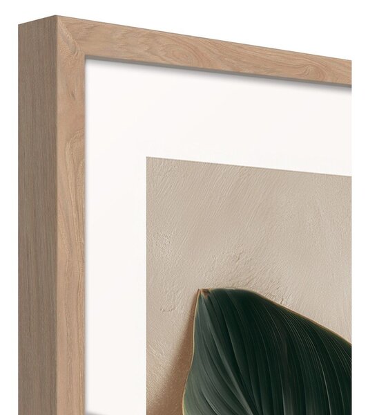 Obraz drukowany z ramą w zestawie 50x70 cm Strelizia Leaf – Styler
