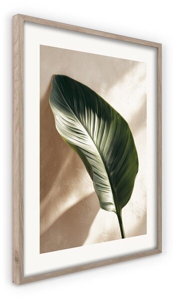 Obraz drukowany z ramą w zestawie 50x70 cm Strelizia Leaf – Styler