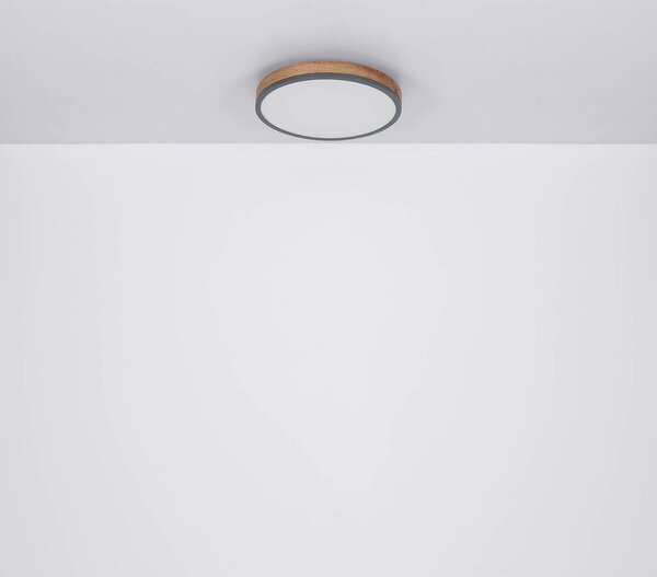 Globo Lampa sufitowa Doro, możliwość ściemniania, ciemne drewno, salon / jadalnia, drewno, nowoczesny