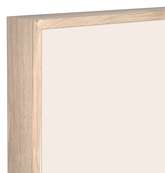 Obraz 50x70 cm Irises – Styler