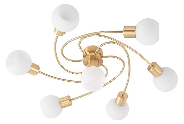 Lampa Sufitowa Lindby, Ciala, ściemnialny, złoty | mosiężny, salon, szkło, nowoczesny