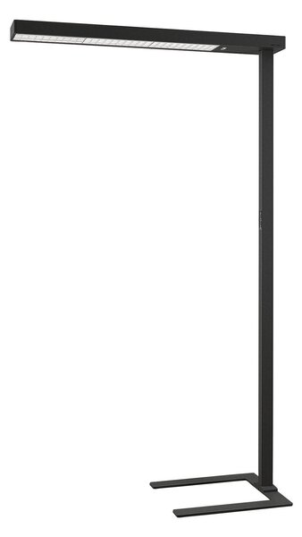 Lampa Podłogowa Arcchio, Susi, ściemnialny, czarny, gabinet | pracownia, aluminium, nowoczesny