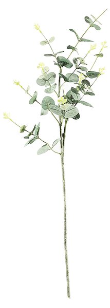 Gałązka Eukaliptusa 90cm