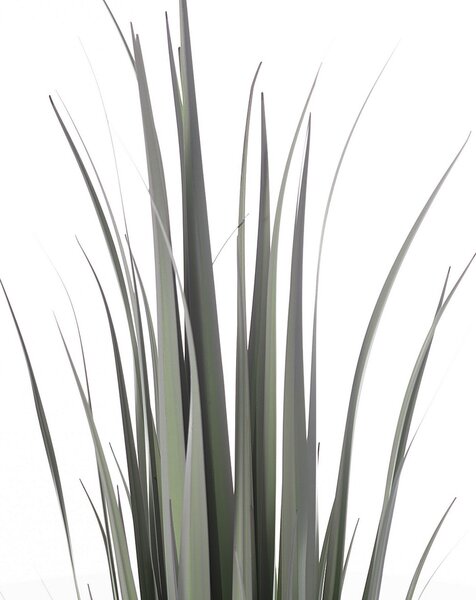 Dekoracja roślinna Grass 92cm