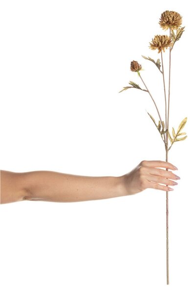 Kwiat Dalii 70cm