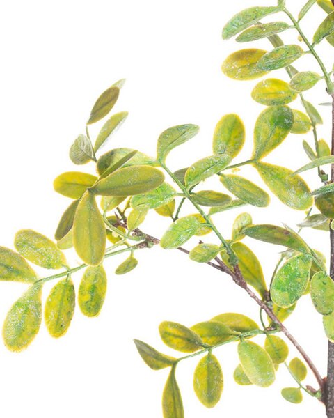 Gałązka Green Twig 100cm