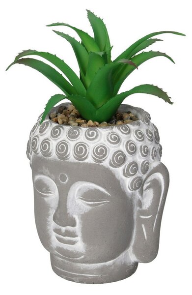Dekoracja Aloe Buddha 17cm