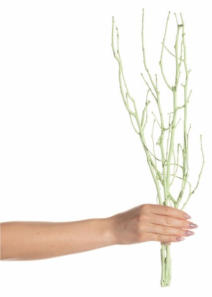Gałązka Leszczyny 50cm light green