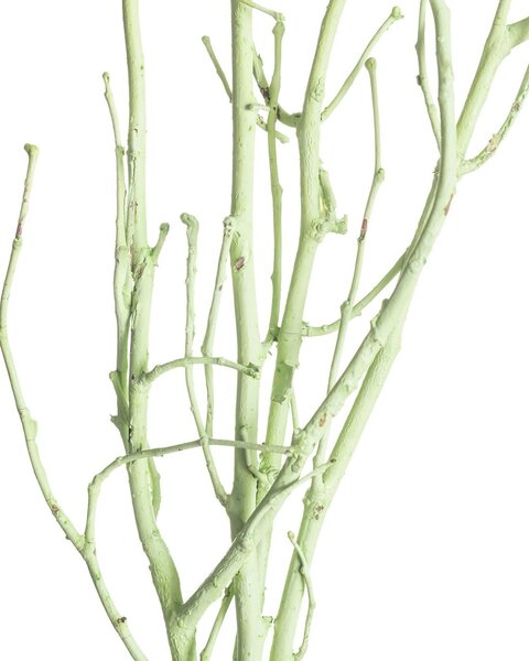 Gałązka Leszczyny 50cm light green