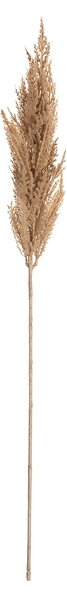 Gałązka Trawy Pampasowej 90cm beige