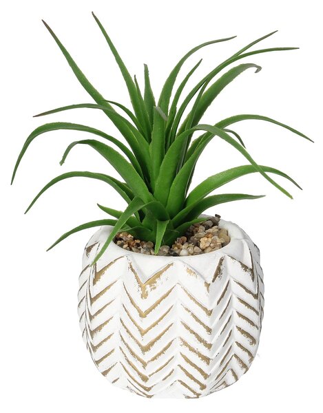 Dekoracja Aloes II 14cm