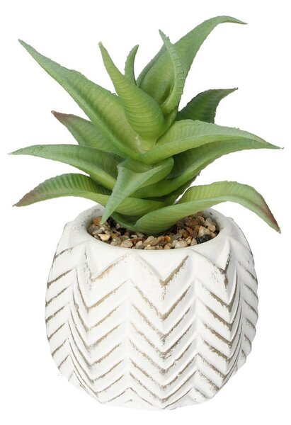 Dekoracja Aloes I 14cm