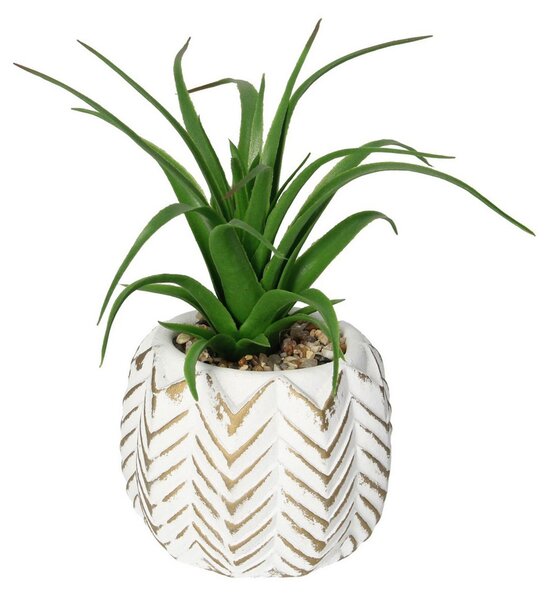 Dekoracja Aloes II 14cm