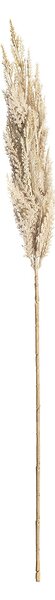 Gałązka Trawy Pampasowej 90cm cream