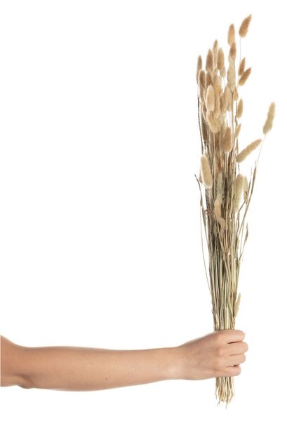 Bukiet Dmuszka 60cm beige