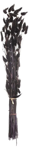 Bukiet Dmuszka 60cm dark brown
