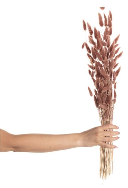 Bukiet Dmuszka 60cm dusty pink