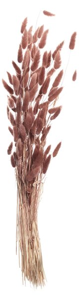 Bukiet Dmuszka 60cm dusty pink