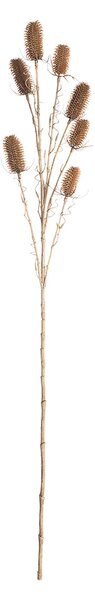 Oset Ozdobny 110cm beige