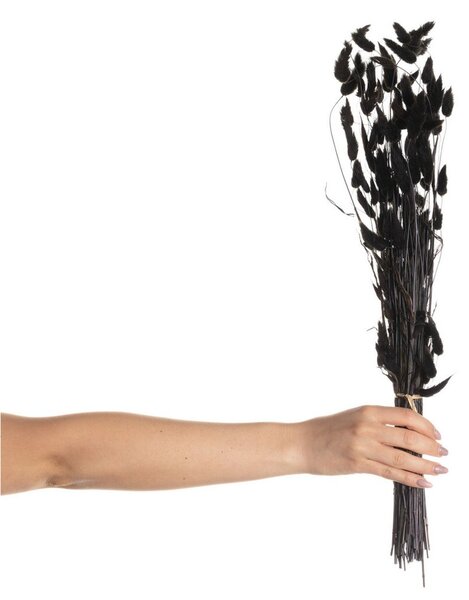Bukiet Dmuszka 60cm dark brown