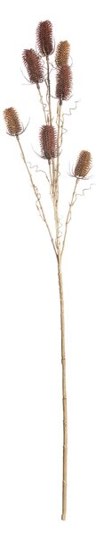 Oset Ozdobny 110cm red beige