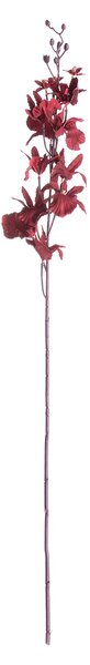 Orchidea 100cm maroon