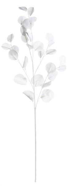 Gałązka Eukaliptusa 90cm white