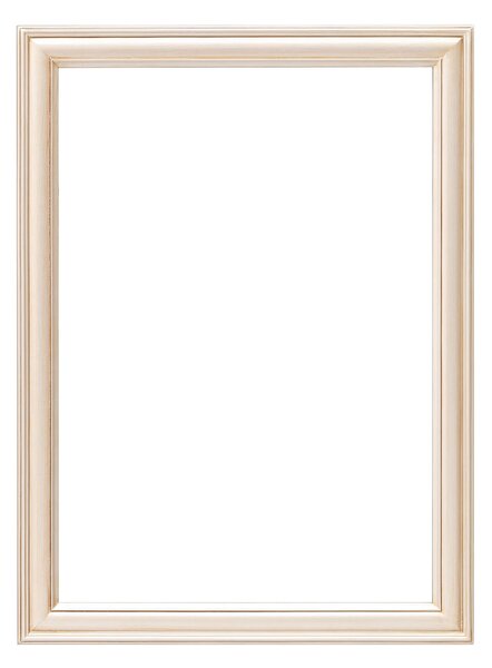 Rama Ricca 60x80cm silver