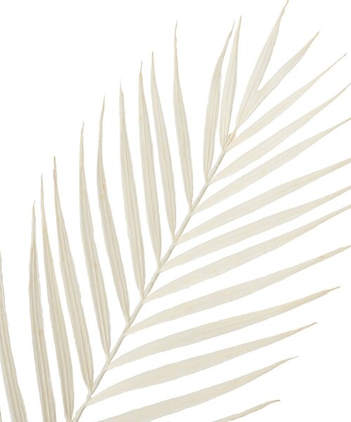 Gałązka Palmera 95 cm white