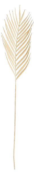 Gałązka Palmera 95 cm ecru