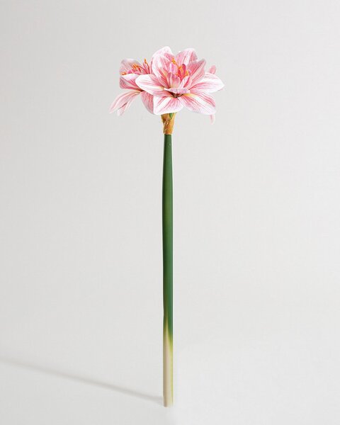 Kwiat sztuczny Amarylis 62 cm pink