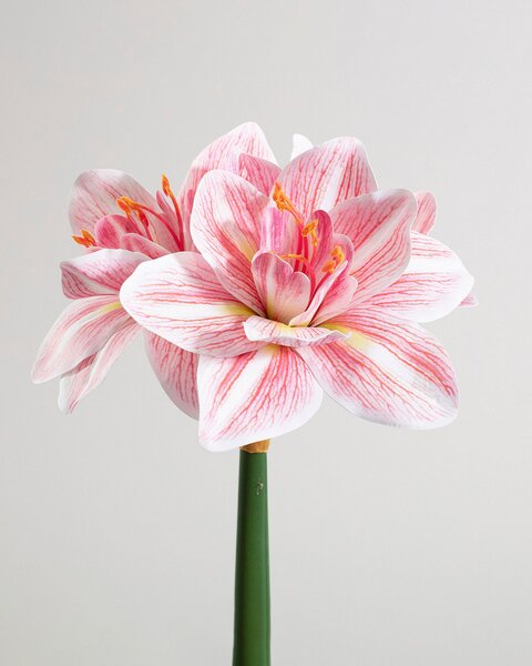 Kwiat sztuczny Amarylis 62 cm pink