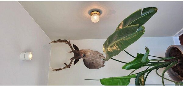 Lampa Sufitowa ANTIDARK, ściemnialny, biały, salon, aluminium