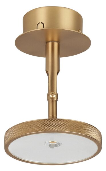 Lampa Sufitowa UMAGE, Asteria Spot, ściemnialny, złoty | mosiężny, salon, metal, design
