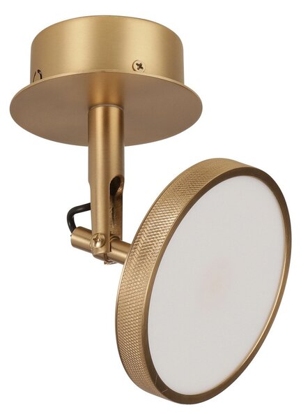 Lampa Sufitowa UMAGE, Asteria Spot, ściemnialny, złoty | mosiężny, salon, metal, design